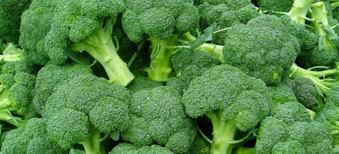 Брокколи при грудном вскармливании – незаменимый продукт для кормящей мамы